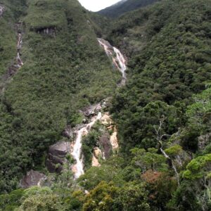 Large, cascading waterfall in steep, forested ravine