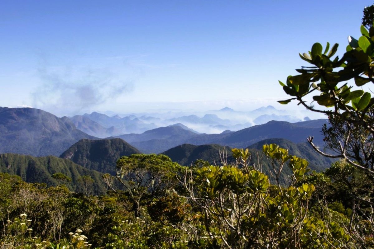 Steep hillsides covered in green shrubs and trees fade off into far-distant bluish, fog-shrouded mountains