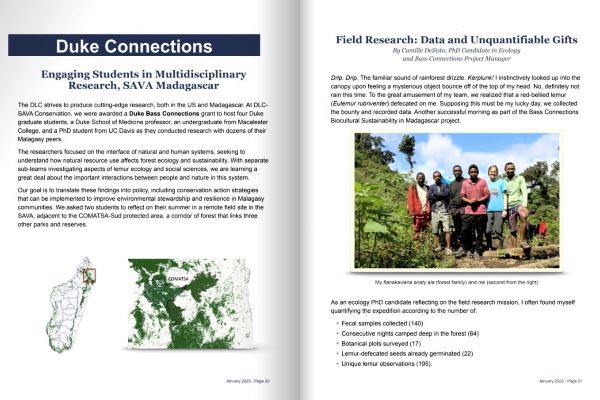 Screenshot of pages from DLC-SAVA newsletter