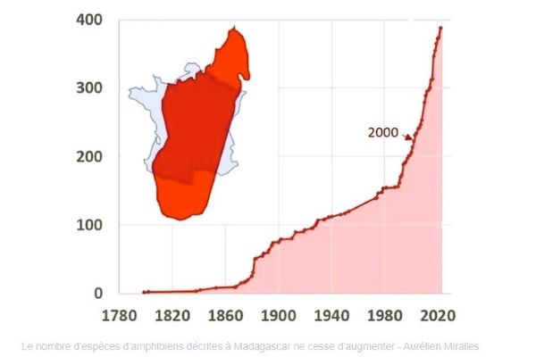 Graph showing a very steep rise in the number of amphibians described from Madagascar