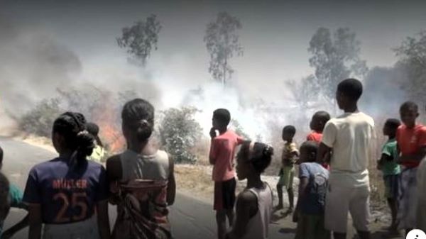 A crowd of children stand looking at a scene of smoke and fire, with trees burning