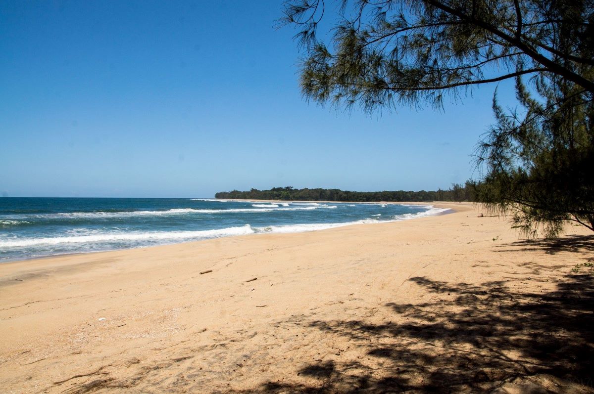 A turquoise-blue sea, waves breaking along a crescent of white sand beach, rimmed by deep green forest