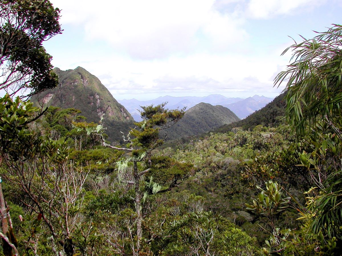 Large mountains loom in the distance in front of thickly wooded hillslopes in the foreground