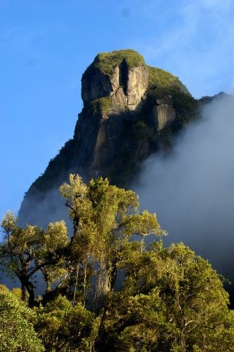 A high, cliff-faced peak looms up out of misty fog; trees draped in vines and bathed in sunlight are in the foreground.