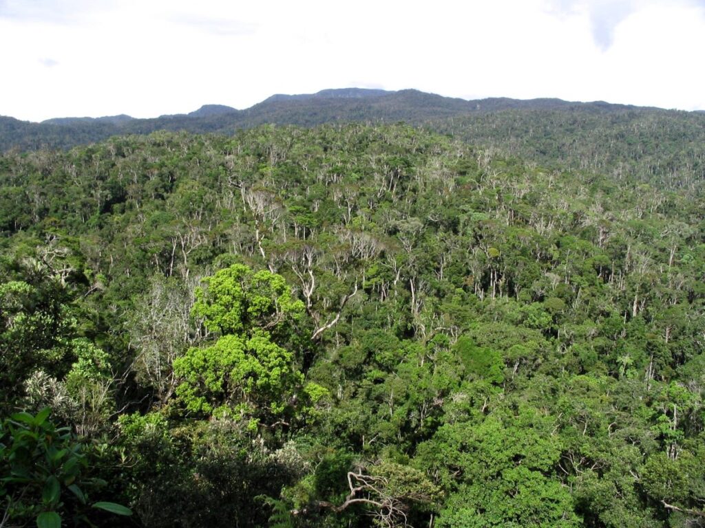 Green forested hills stretch from the foreground clear to the distant horizon
