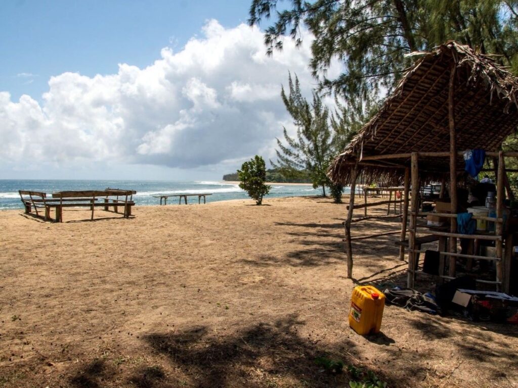 A small, thatched hut and some rough wooden benches are on a beach. Green forest lies beyond the beach.