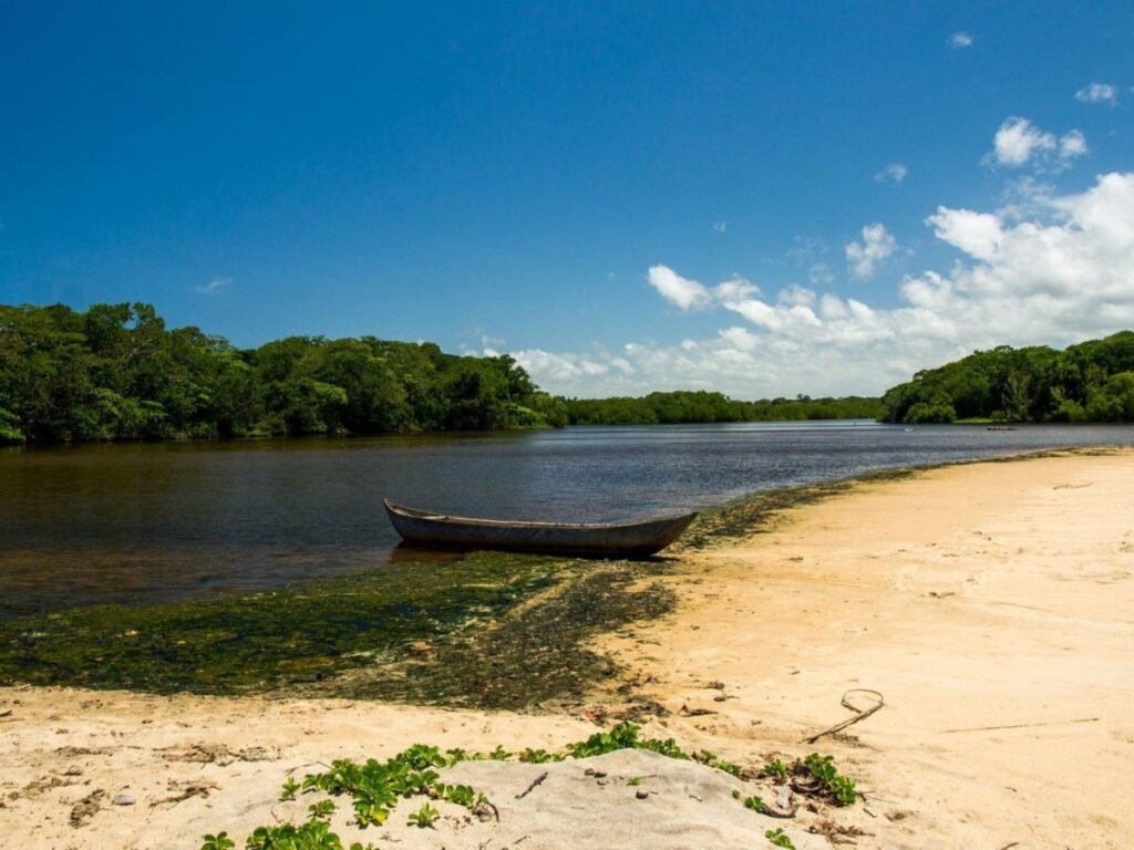 A dugout canoe is pulled up to the sandy shore of a wide, calm river. The far edges of the river are lined with dense vegetation.