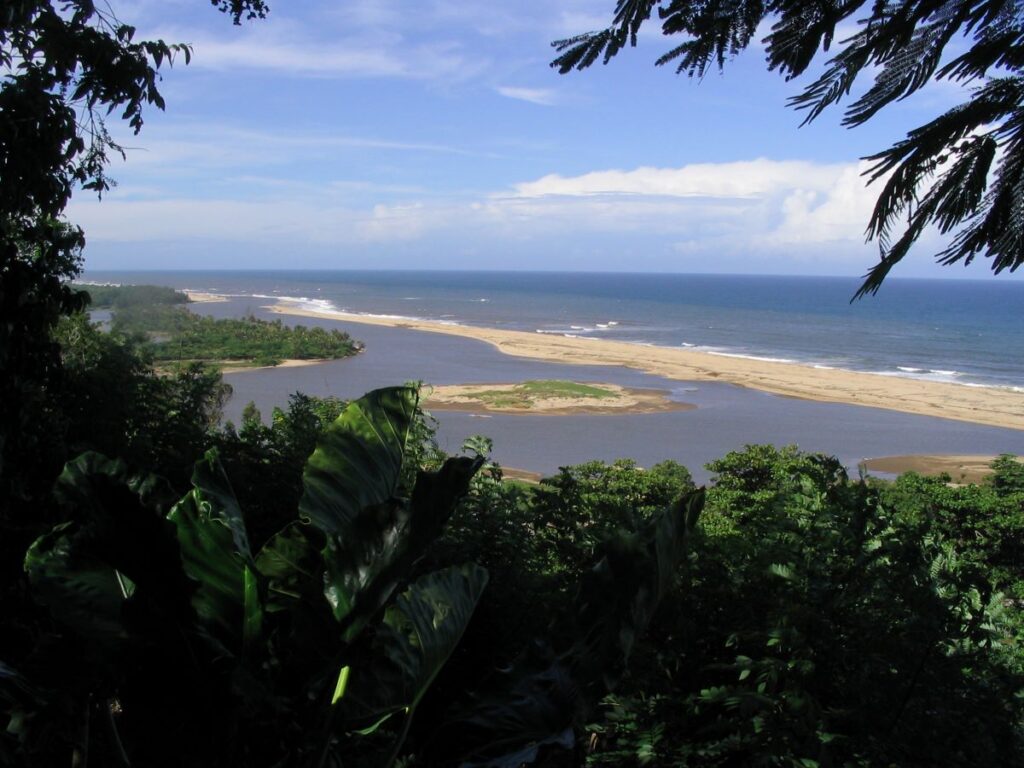 View through lush green vegetation out to the ocean with waves breaking on a white sandspit
