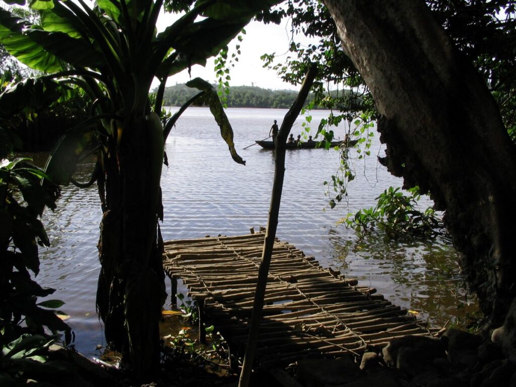 A rough stick dock extends a few meters out into a river from the shady, tree-lined banks; the river is very wide and a dugout canoe with five people aboard is approaching the dock