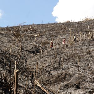 Denuded land