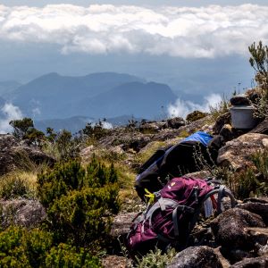 Packs at summit