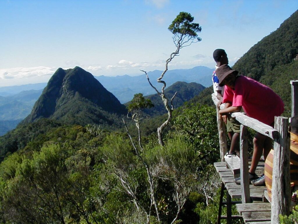 Two men stand on a wooden platform overlooking mountains and forest.