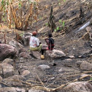 Burned land