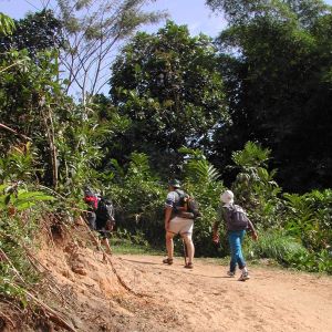 Hikers on trail