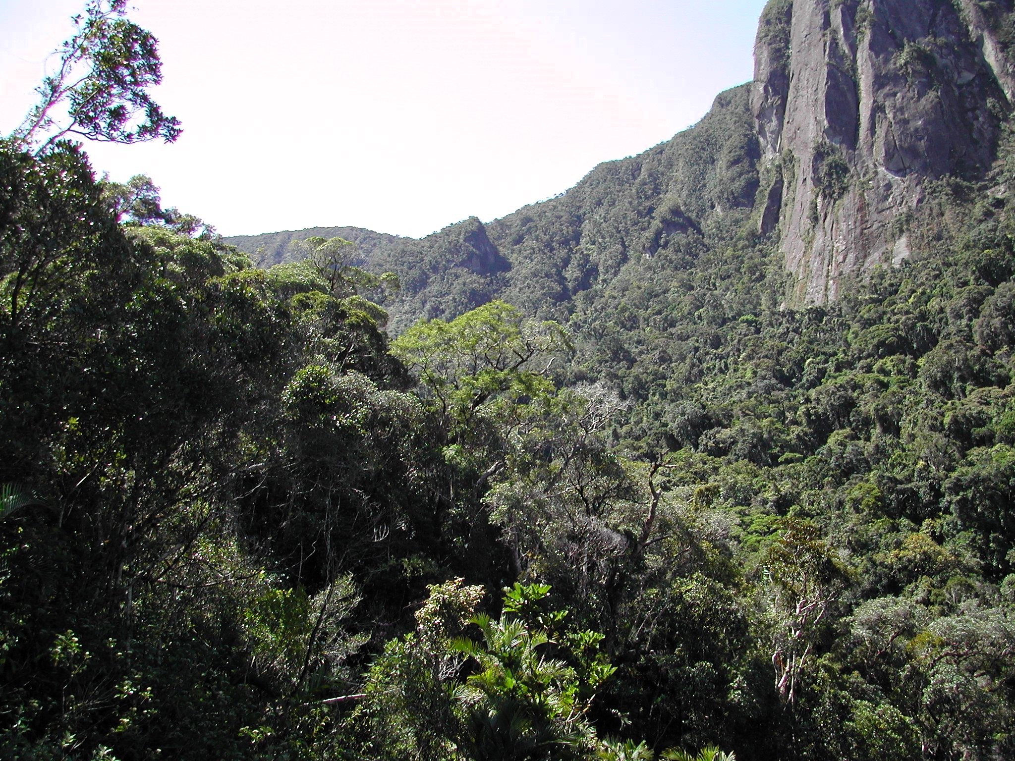 Densely forested mountainsides with a sheer rock wall rising up out of the forest in the upper right corner of the photo.
