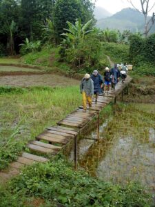 A line of people walk across a narrow wooden bridge in the rain. The bridge crosses a flooded rice paddy.