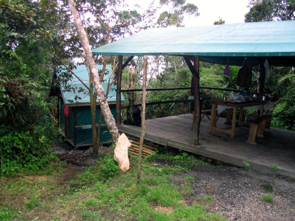 A table and benches sit on the wooden floor of an open shelter with green tarp roof. A green cabin is down a slope behind the shelter. Thick forest surrounds the two buildings.