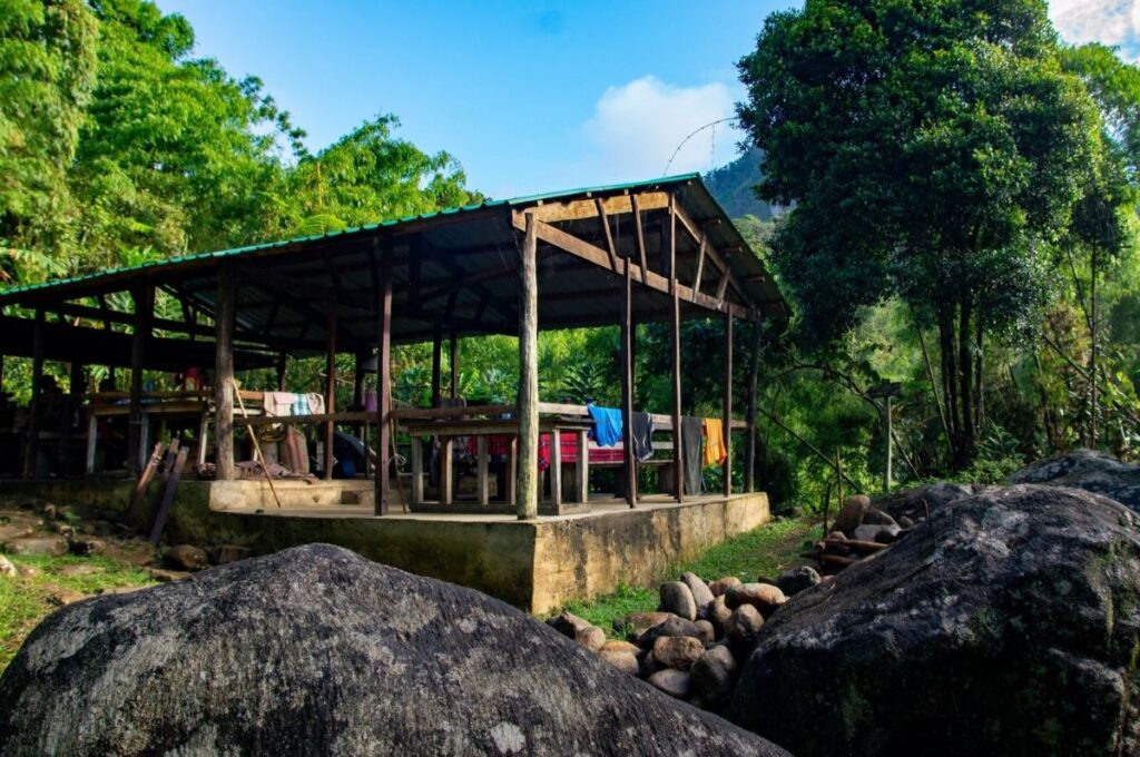 A large, open shelter with metal roof and wooden tables inside is surrounded by bamboo forest and large boulders.