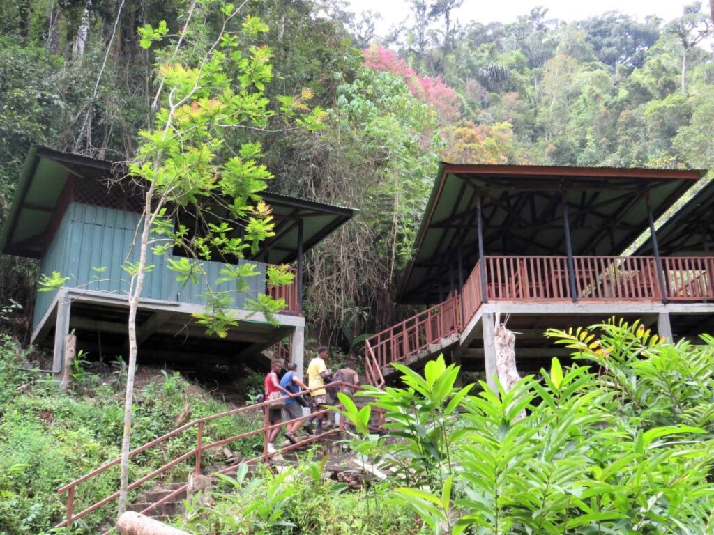 Two large shelters with metal roofs and partially open sides are cantilevered out from a steep hillside covered in lush vegetation. Four people climb stairs up the hillside into the shelters.