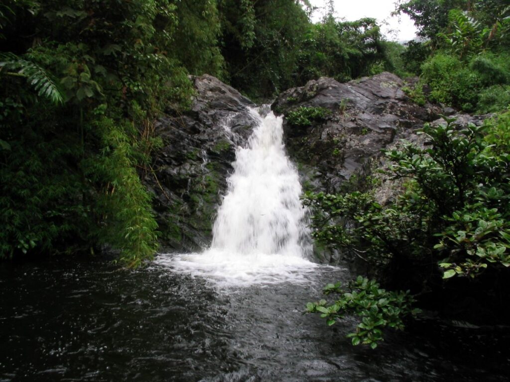 A white, foaming waterfall pours over a black rock outcrop into a dark frothing pool. Green vines and trees surround the pool.