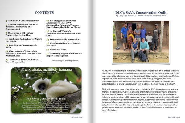 Screenshot of pages from DLC-SAVA newsletter