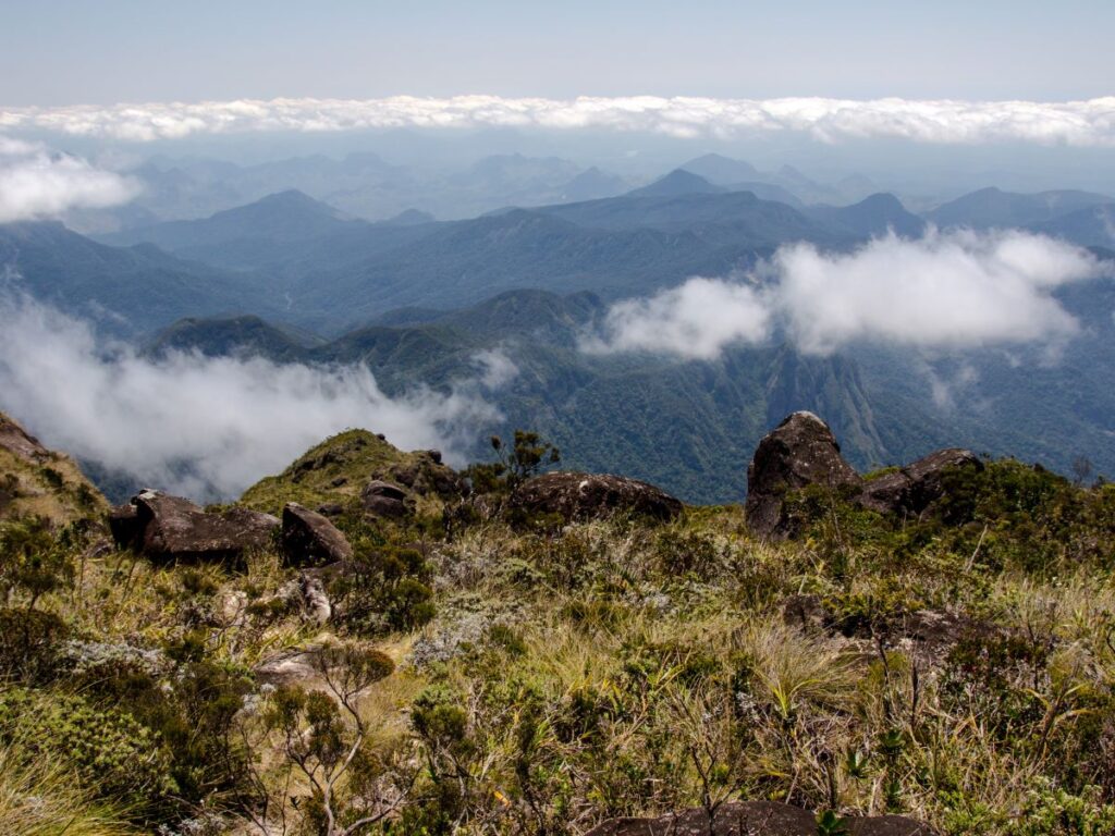 Looking out from a rocky ridge, purple mountains fade off into the distance.