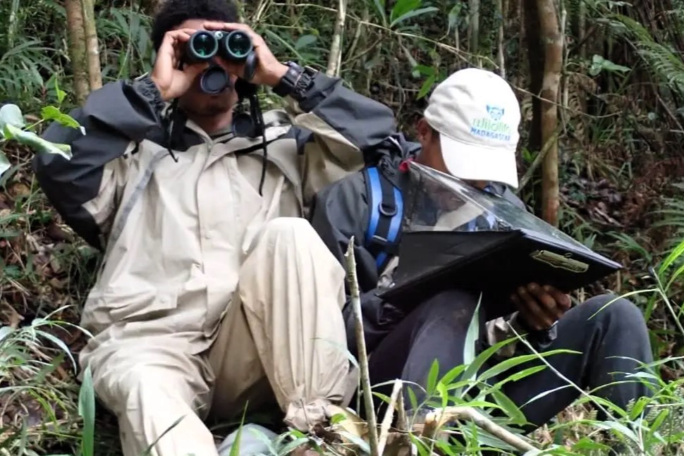 Two researchers are sitting in a forest. One is looking through binoculars; the other is writing in a notebook.